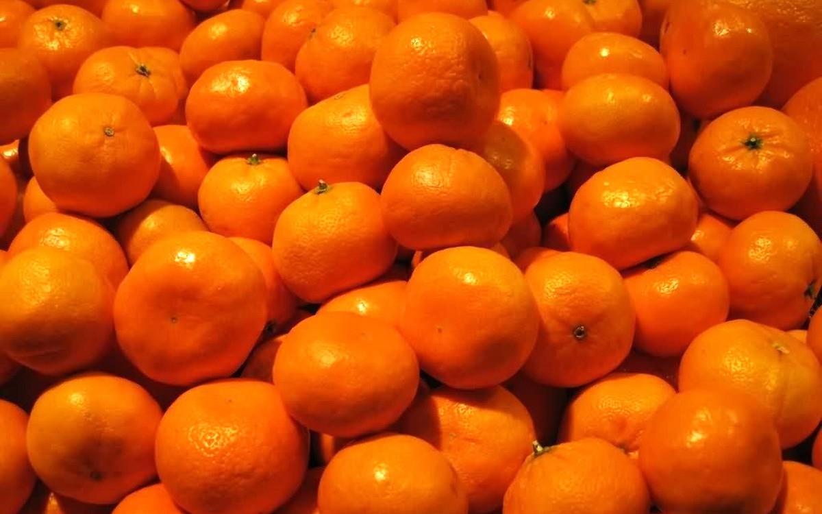 水果桔子高清图片