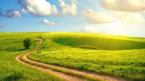 乡间小道风景图片