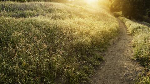 乡间小道风景图片