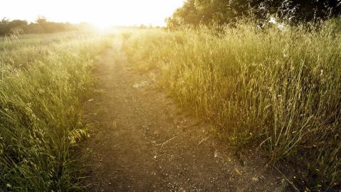 乡间小道风景图片