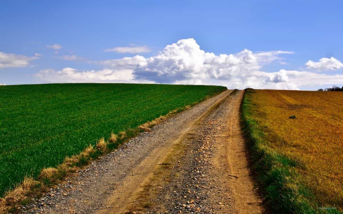 乡间小道风景图片