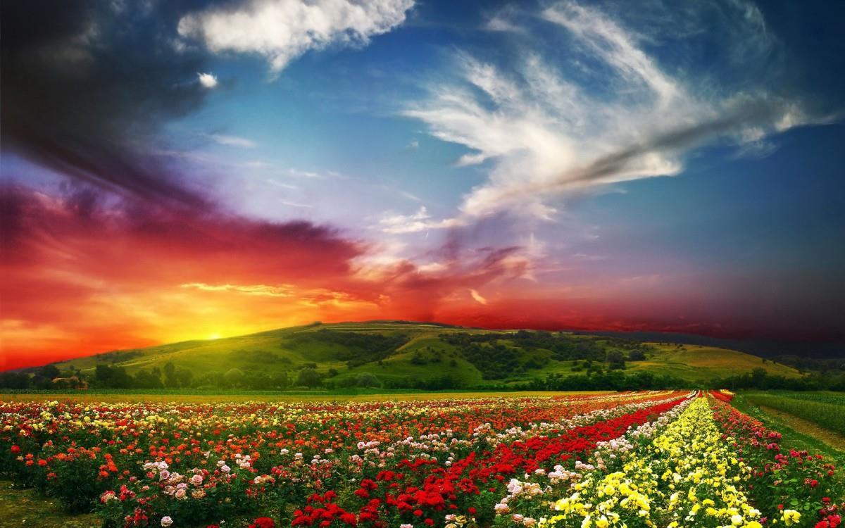 让人陶醉的自然美丽景色图片