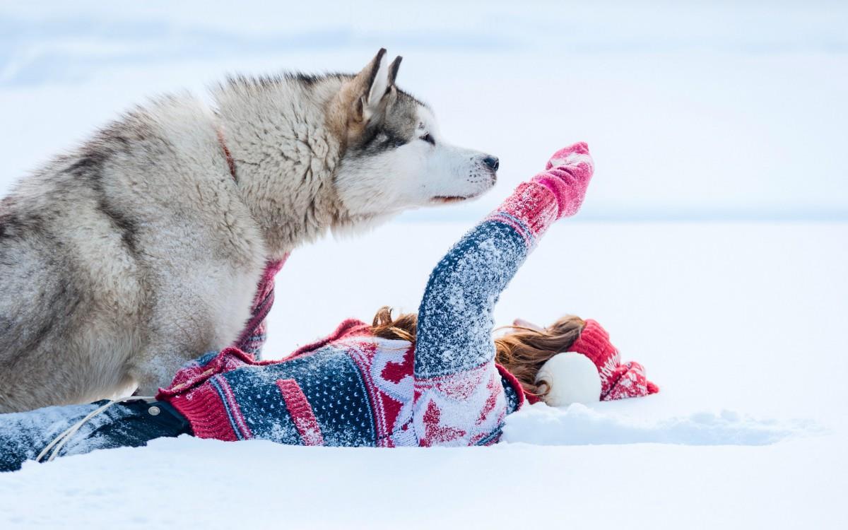 美女与狗玩耍图片