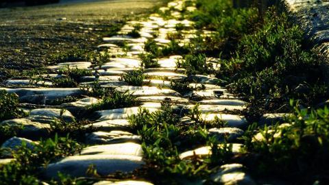 乡间小道风景图片