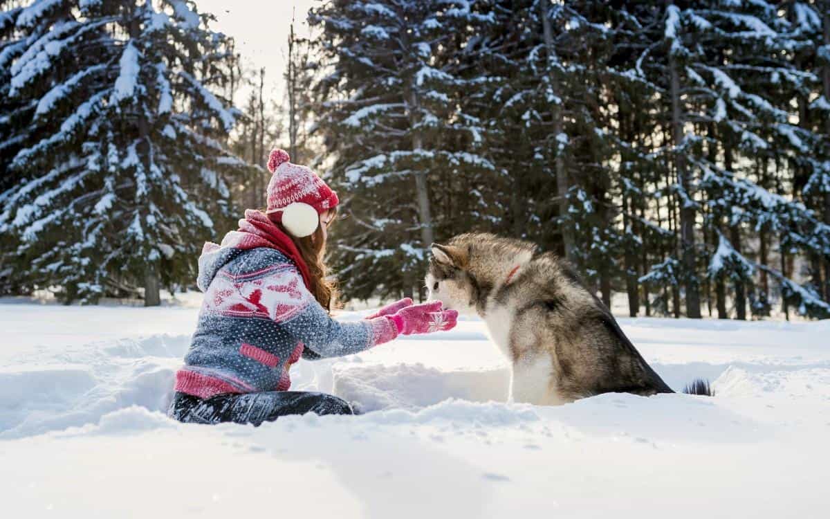 美女与狗玩耍图片