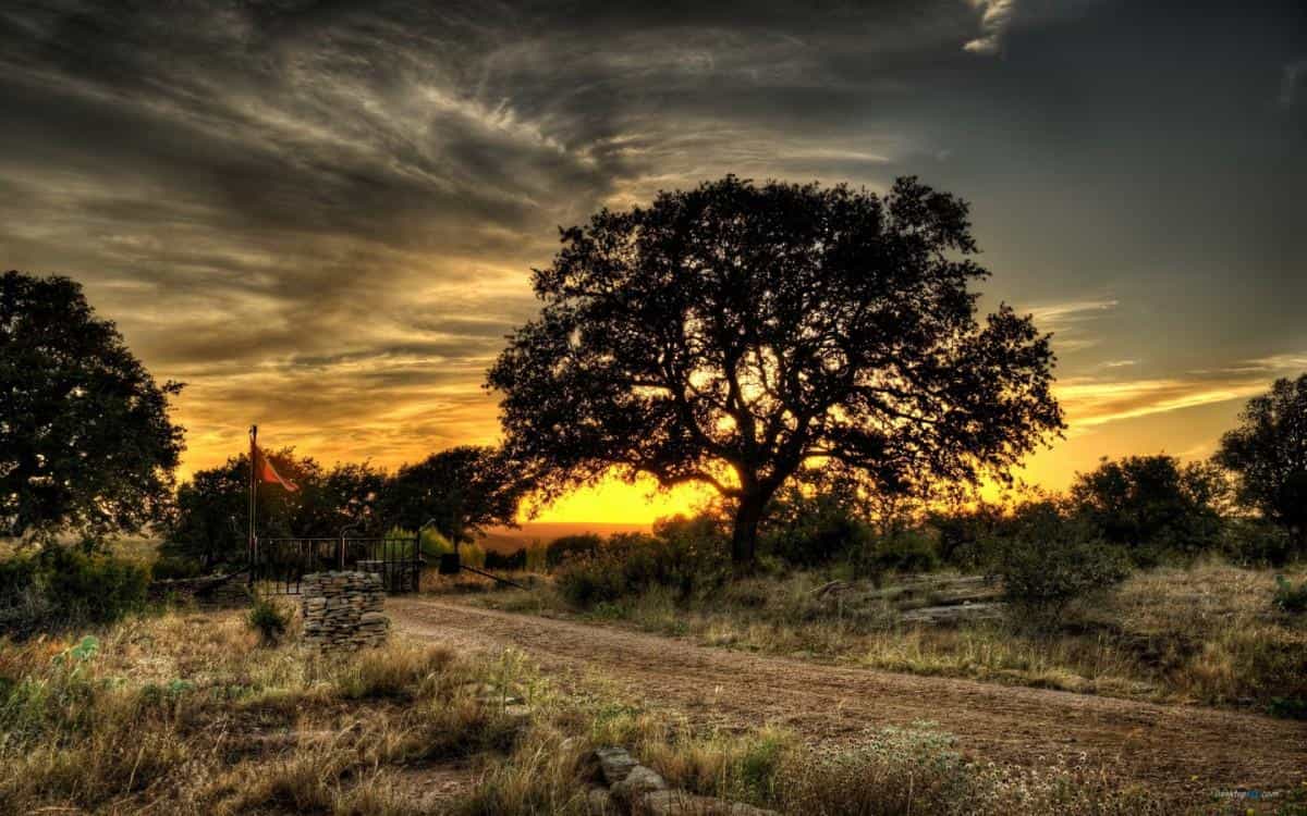 乡间小道风景图片
