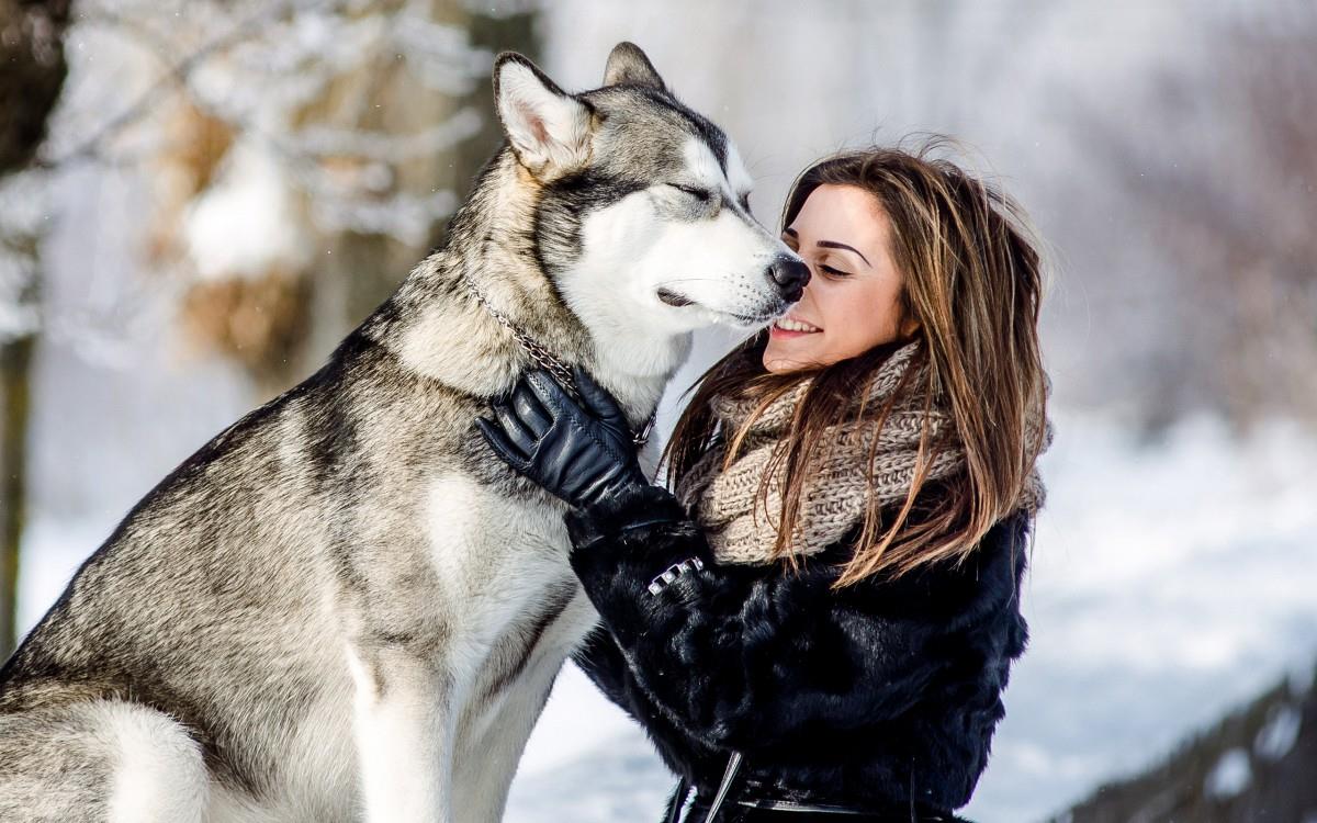 美女与狗玩耍图片