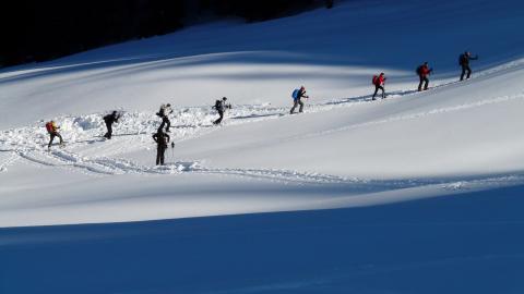 户外滑雪运动图片2
