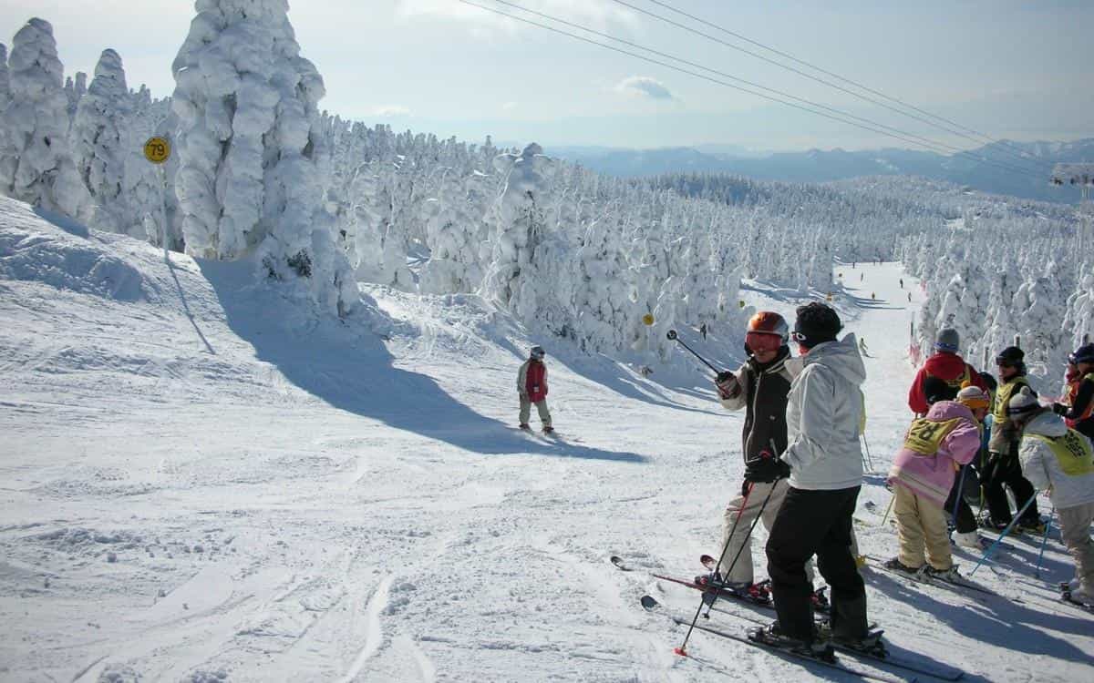 户外滑雪运动图片2