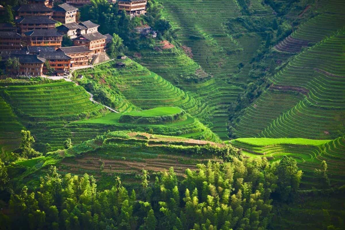 桂林龙胜龙脊梯田图片