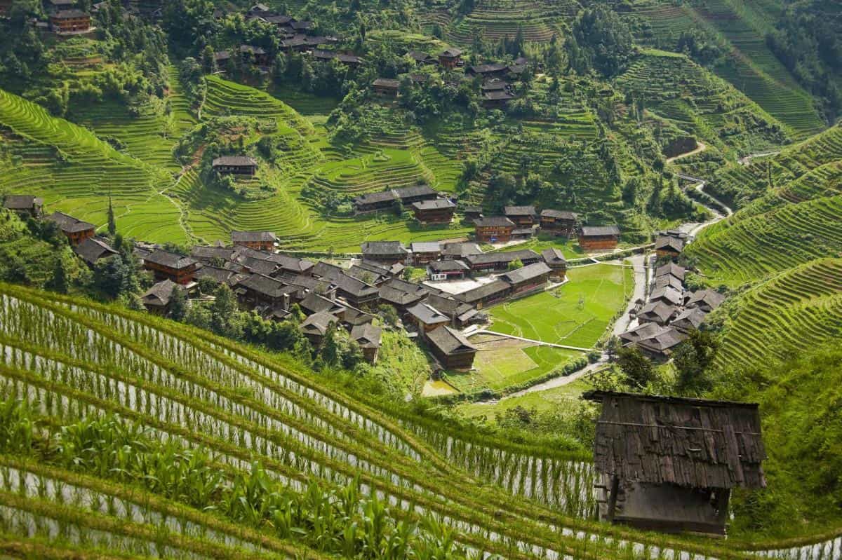 桂林龙胜龙脊梯田图片