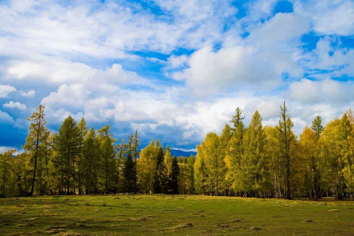 美丽的阿勒泰喀纳斯湖图片