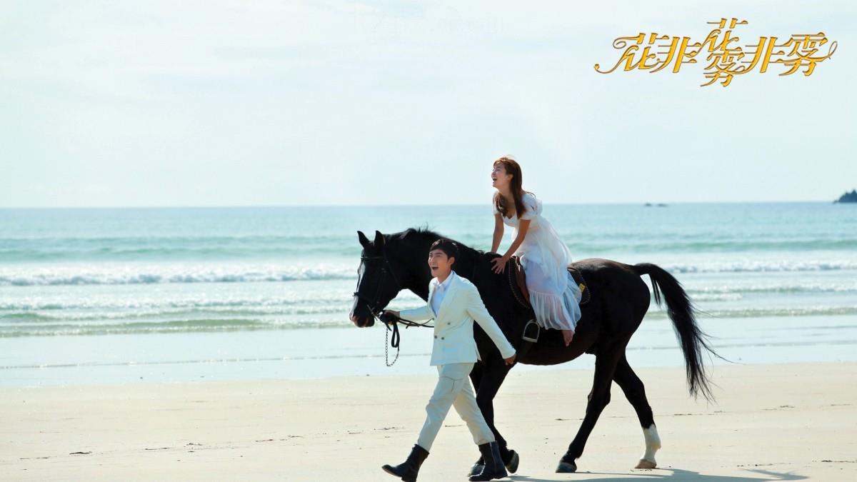 花非花雾非雾电视剧图片