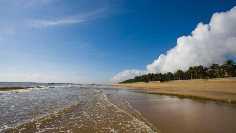广阔的大海沙滩图片