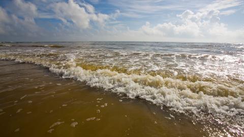 广阔的大海沙滩图片