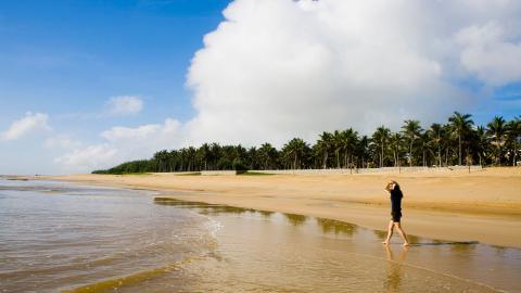 广阔的大海沙滩图片