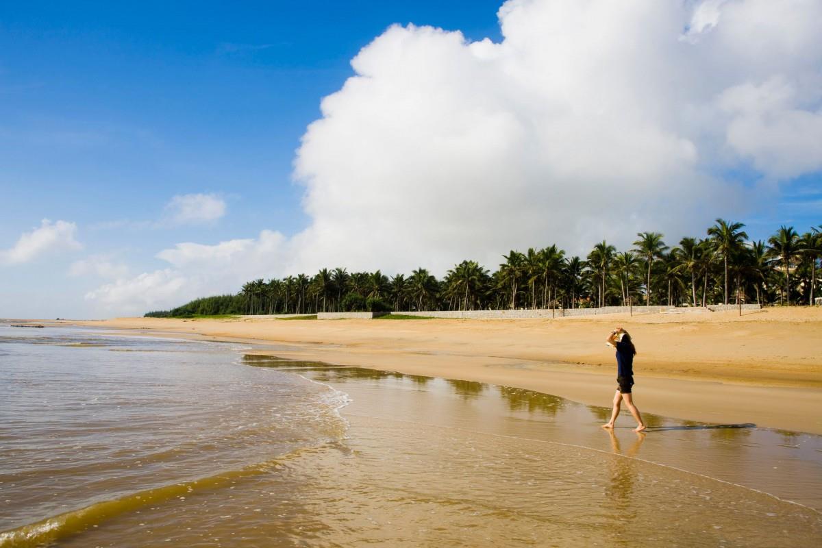广阔的大海沙滩图片