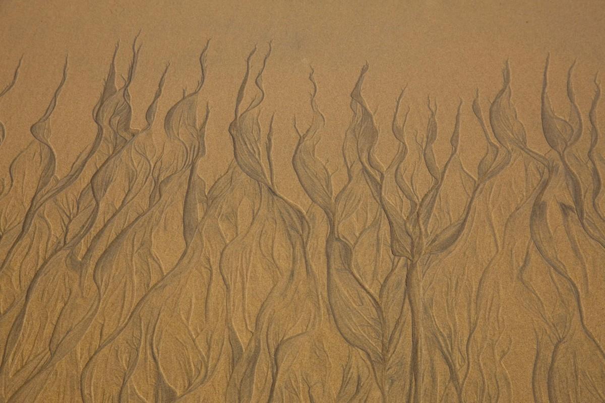 广阔的大海沙滩图片