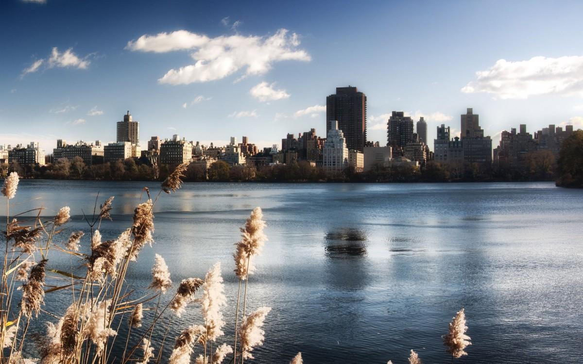 纽约都市风光图片