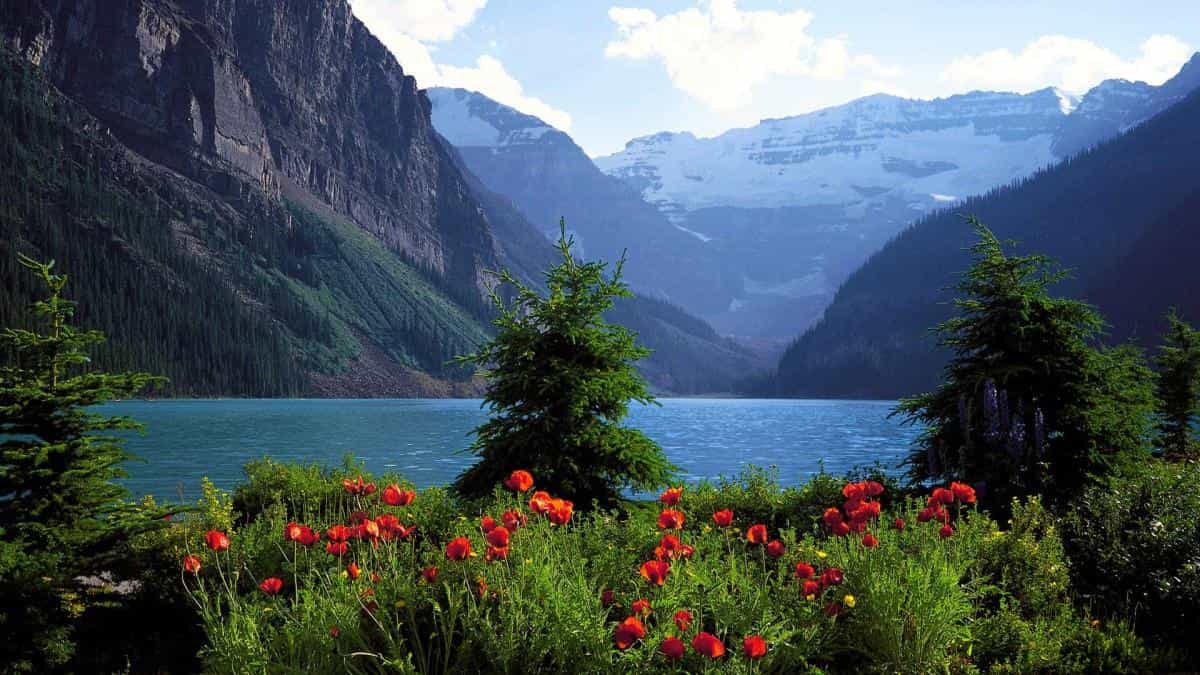 加拿大自然风景图片