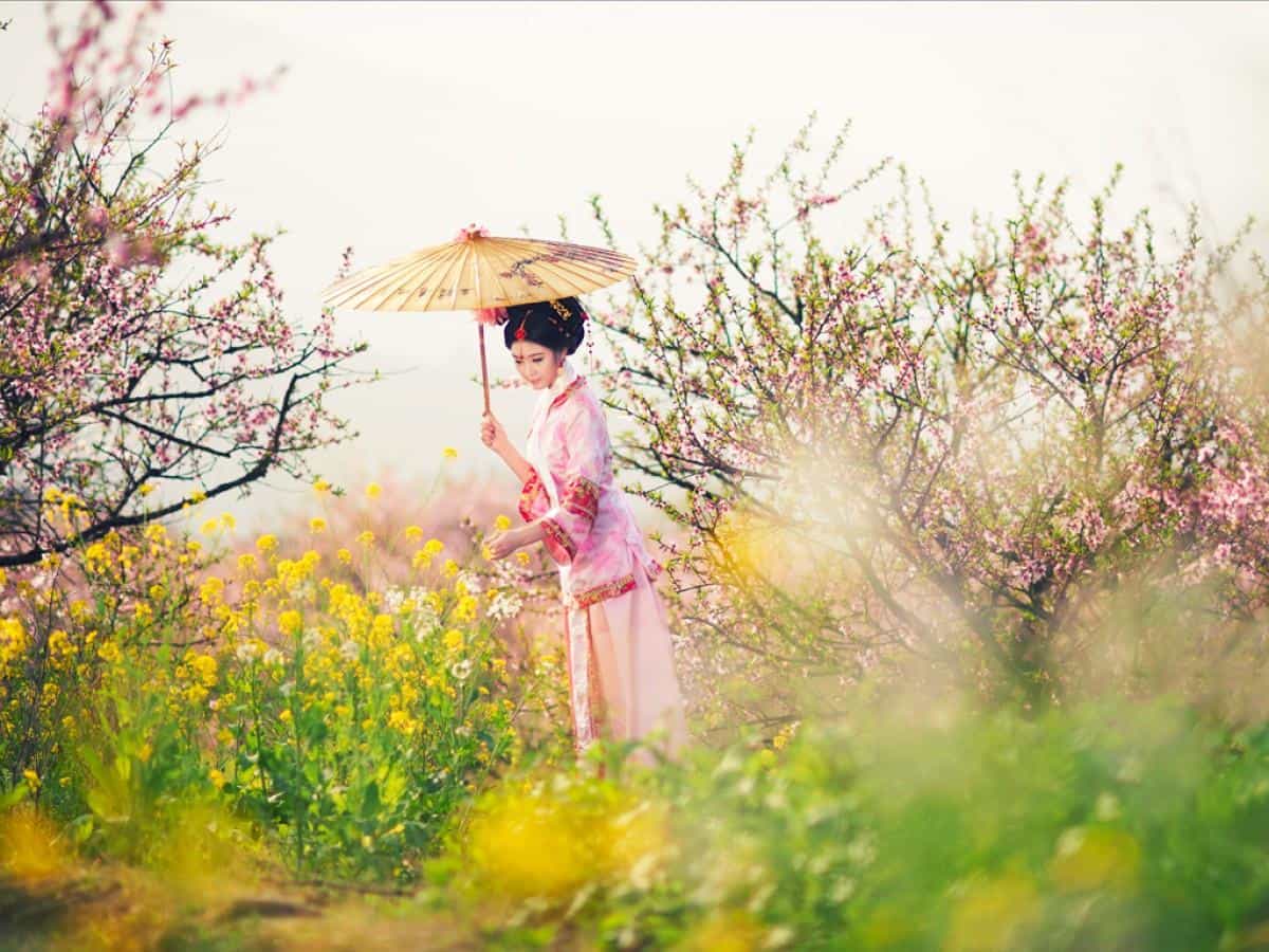 古典琵琶美女图片