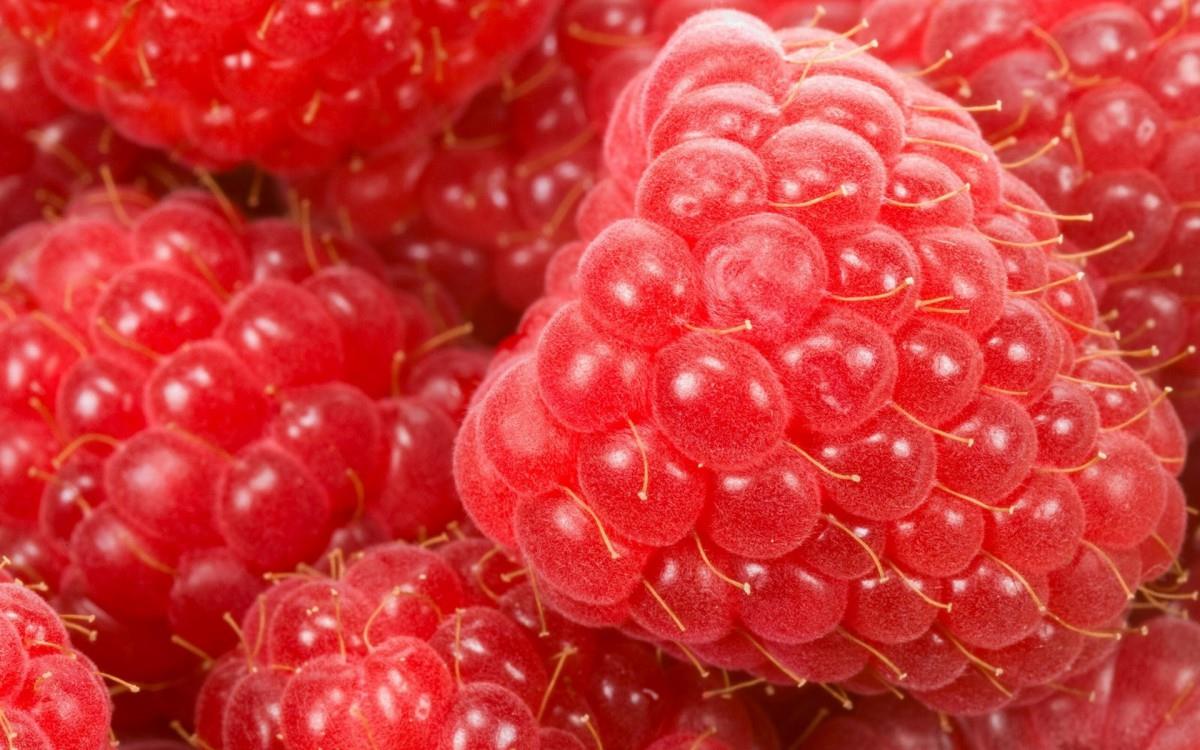 树莓高清摄影图片