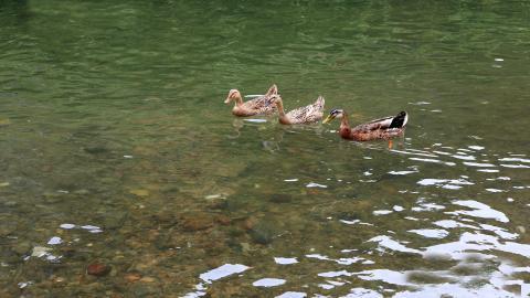 西江千户苗寨风光图片