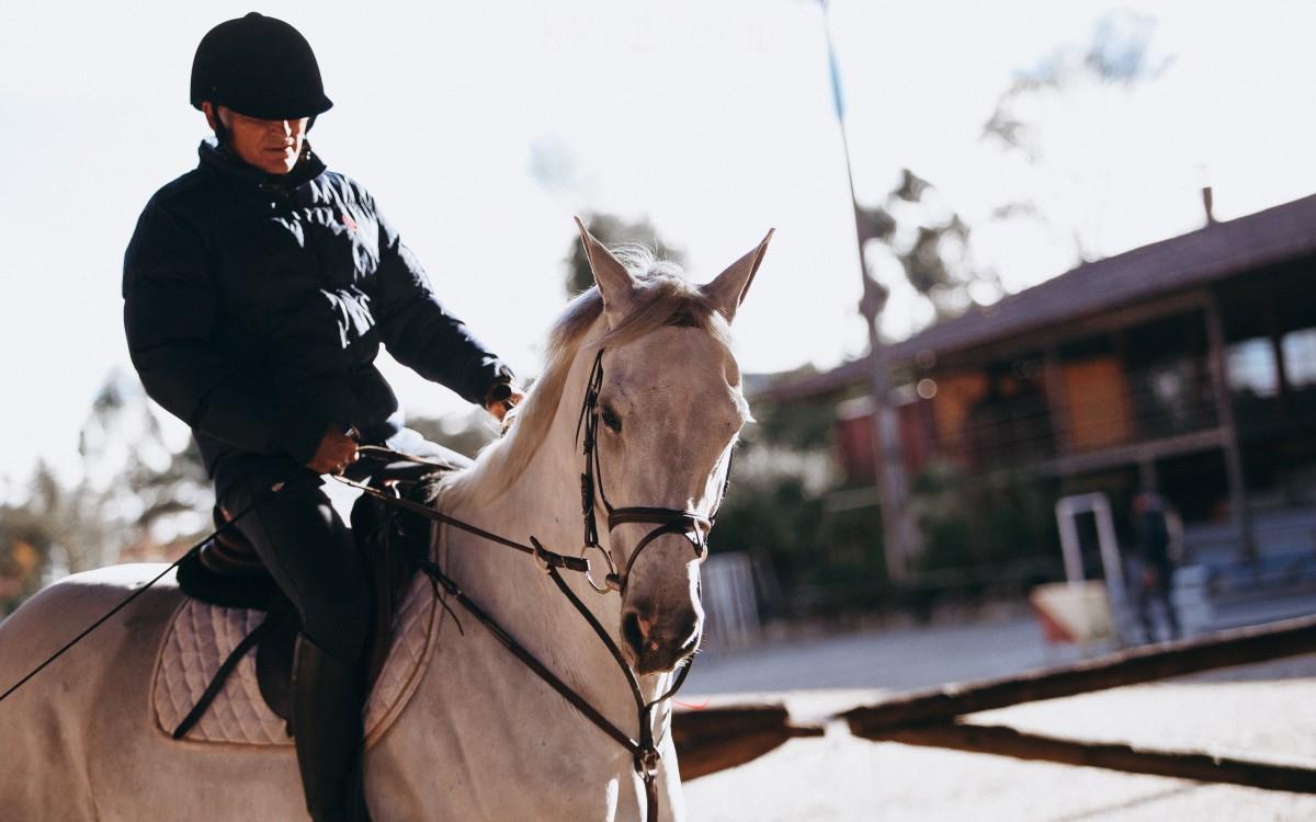 骑马马术运动图片