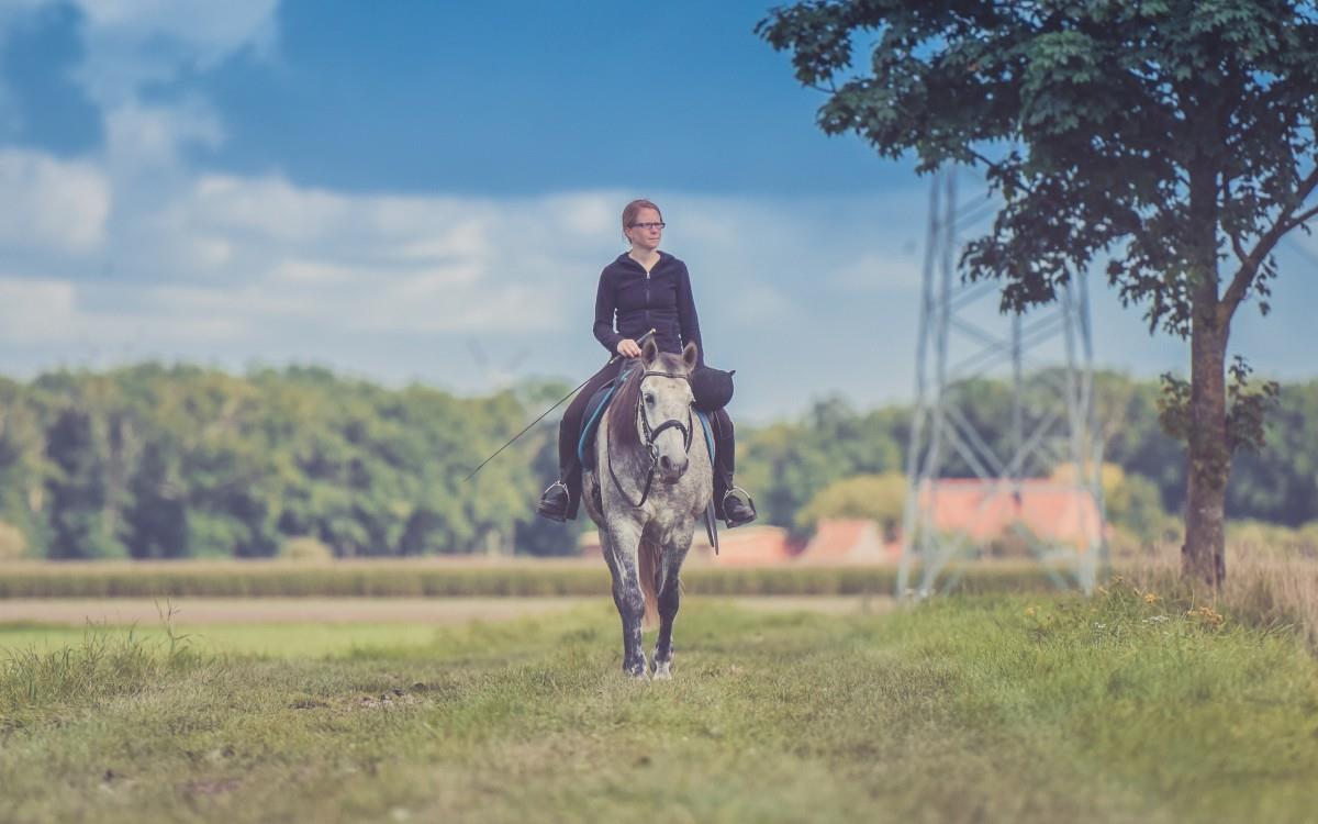骑马马术运动图片