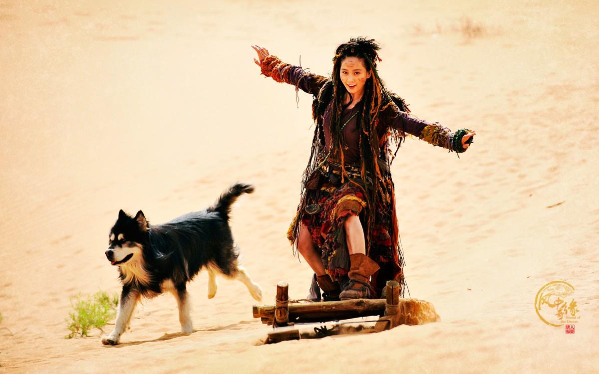 风中奇缘电视剧图片