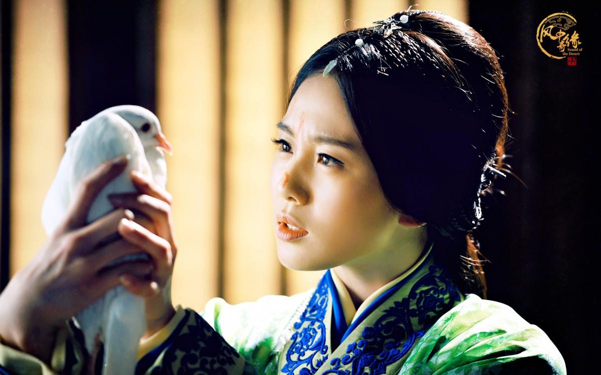 风中奇缘电视剧图片