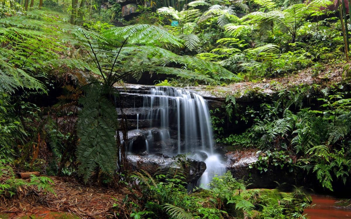 美丽的溪泉瀑布图片