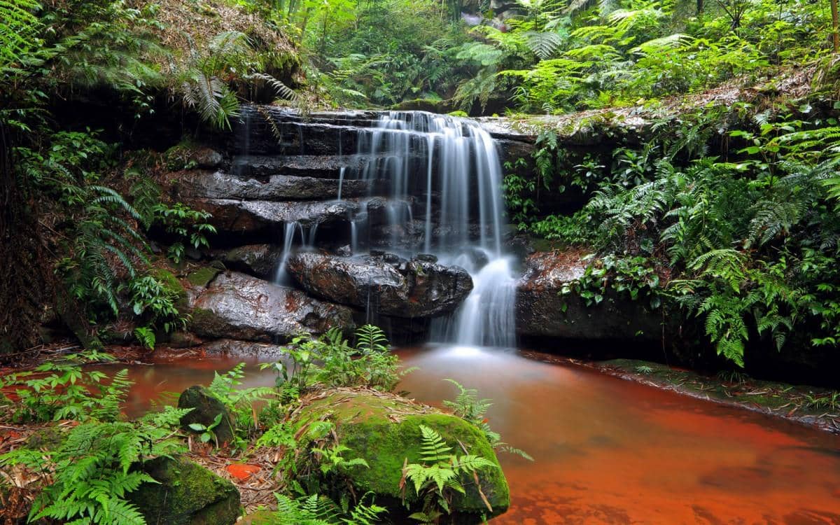 美丽的溪泉瀑布图片