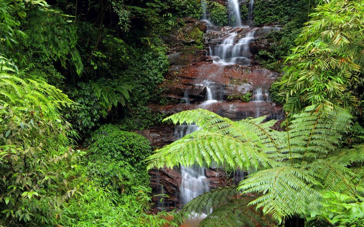 美丽的溪泉瀑布图片
