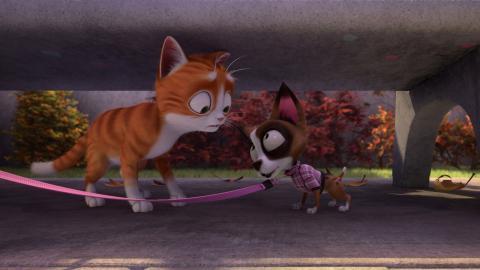 魔法总动员电影图片