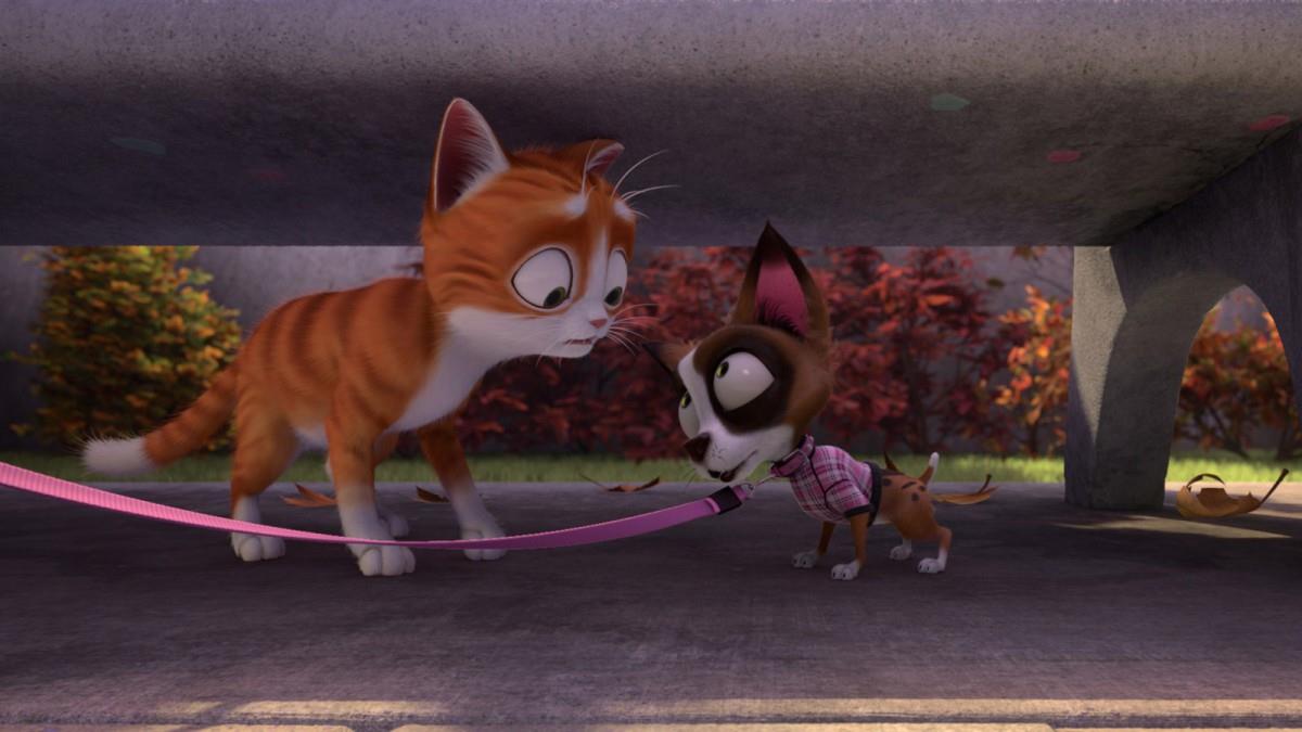 魔法总动员电影图片