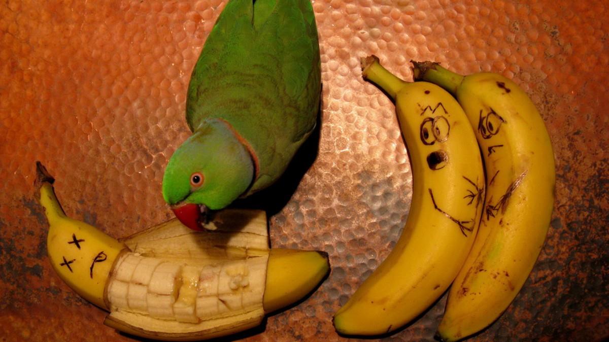 水果之王香蕉Bananas图片