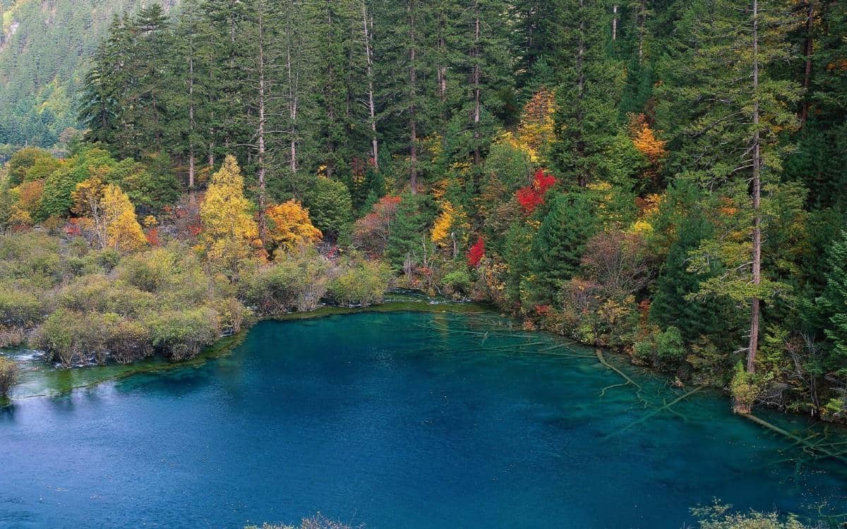 四川九寨沟自然风景图片