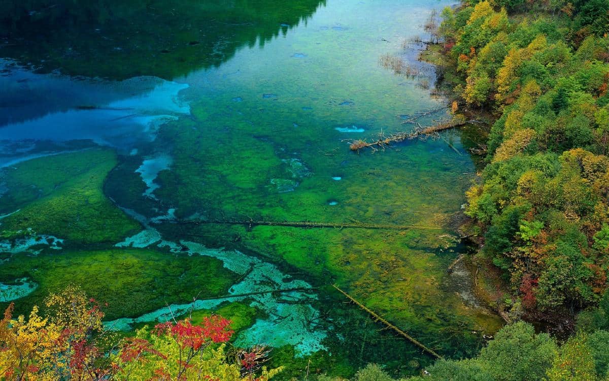 四川九寨沟自然风景图片