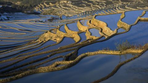 大山里无尽的梯田风光