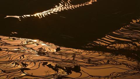 大山里无尽的梯田风光