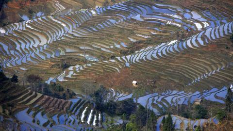 大山里无尽的梯田风光