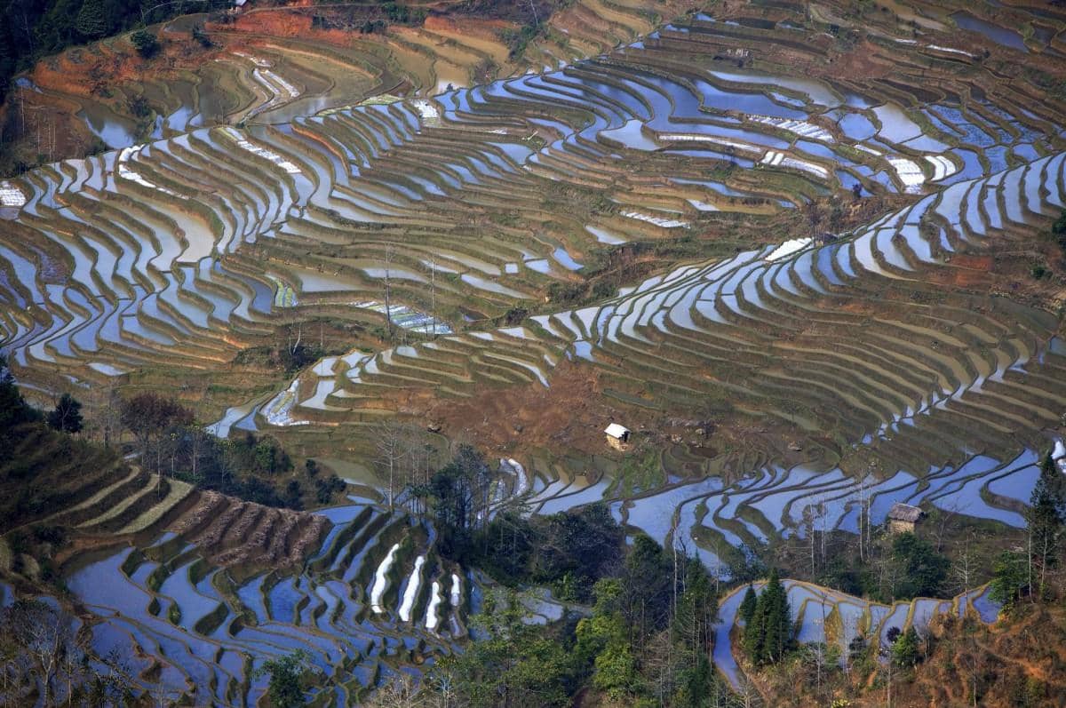 大山里无尽的梯田风光