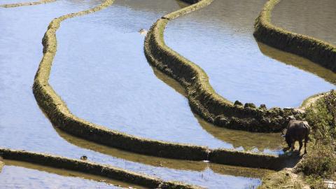 大山里无尽的梯田风光