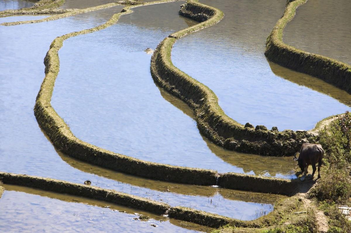 大山里无尽的梯田风光