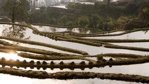 大山里无尽的梯田风光