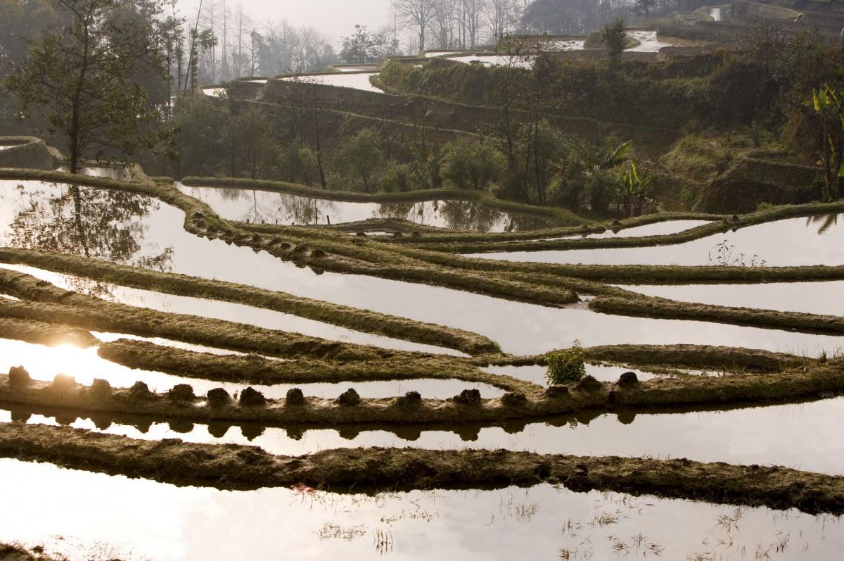 大山里无尽的梯田风光