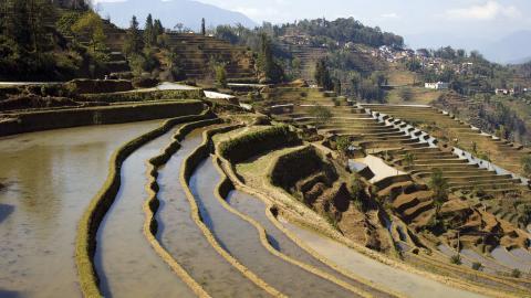 大山里无尽的梯田风光