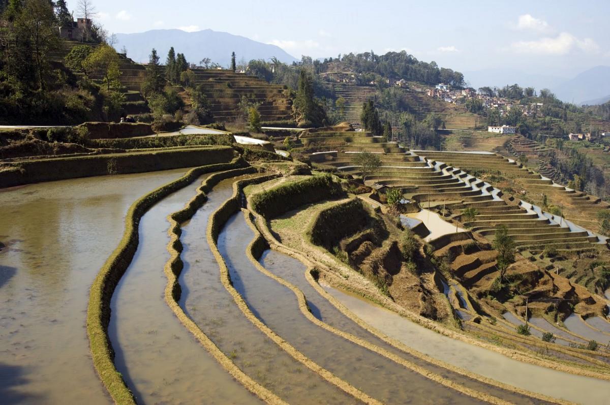 大山里无尽的梯田风光