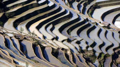 大山里无尽的梯田风光
